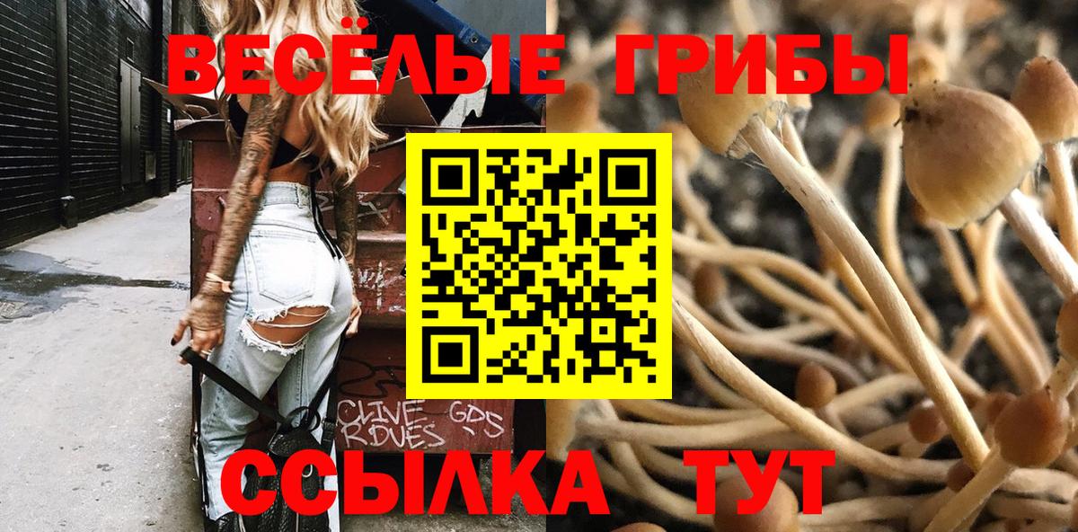 Чусовой  где купить наркоту  Галлюциногенные грибы Psilocybe  Вход с VPN  Галлюциногенные грибы Psilocybe 