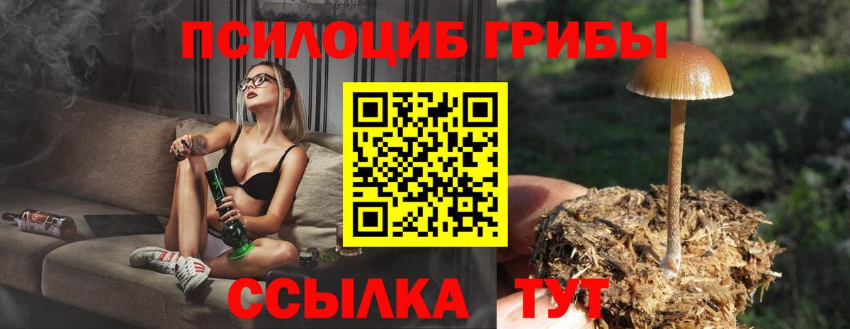 Псилоцибиновые грибы мицелий Чусовой
